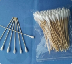 Oral Applicator