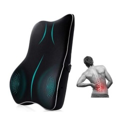 3D Back Cushion