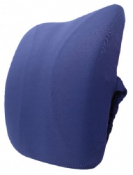 Back Cushion