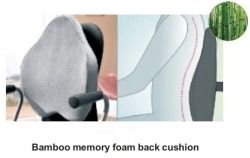 Back cushion
